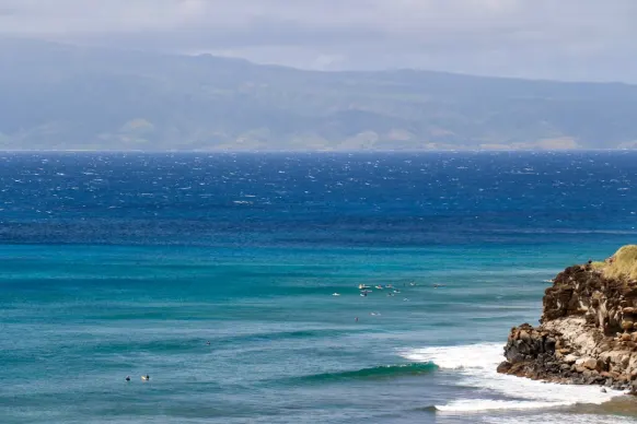 Casino Two Fat Ladies Bingo Ondersteuning